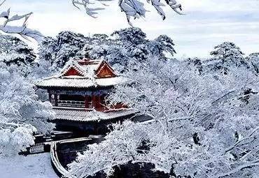 辽大的雪景 棋盘山的雪景 东陵公园的雪景 沈水湾公园的雪景 沈阳世博