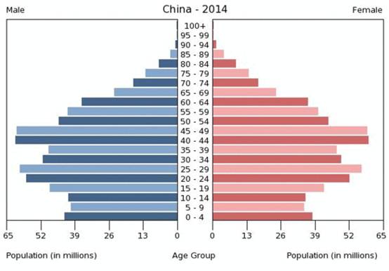 人口雪崩:中国世纪的终结?