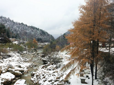 秦岭下雪,汉中降温下雨开启冬季模式!