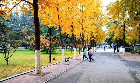 北京理工大学