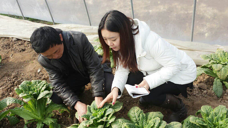 记者陈淑静跟着农户一起进菜地了解情况.图片来源:铜陵日报社