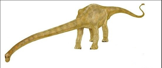 易碎双腔龙长62米,重122到150吨,是有史以来最大的陆生动物 极龙是最