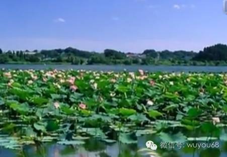 二胡简谱洪湖水浪打浪_洪湖水浪打浪简谱(3)