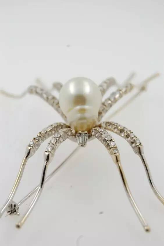 珠宝生活|蜘蛛首饰让你怕了吗?