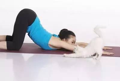 二,猫伸展式瑜伽