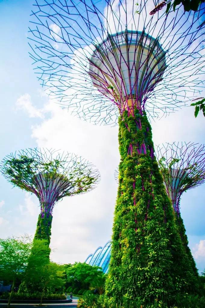 去新加坡跑步,别忘了解锁这10个世界级的旅行体验!