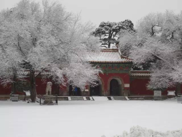 沈阳故宫的雪景 大帅府的雪景 北陵公园的雪景 九一八纪念馆的雪景