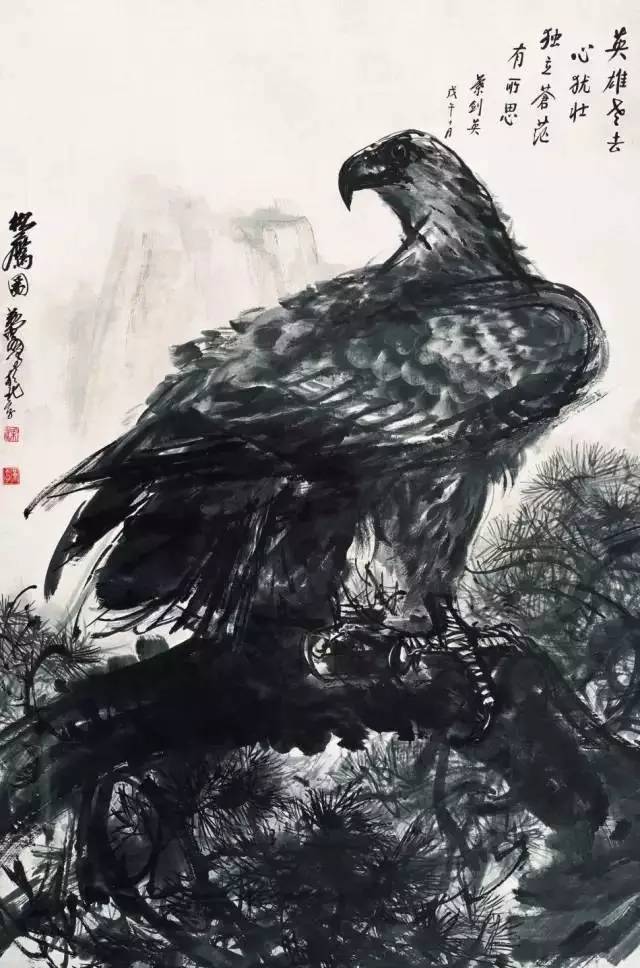 最凶的鹰_世界十大老鹰排名 第一体长超过一米 是最凶猛的老鹰