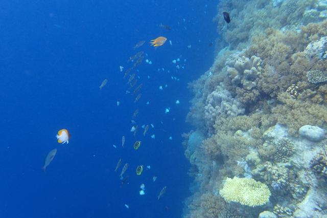 海底大断层