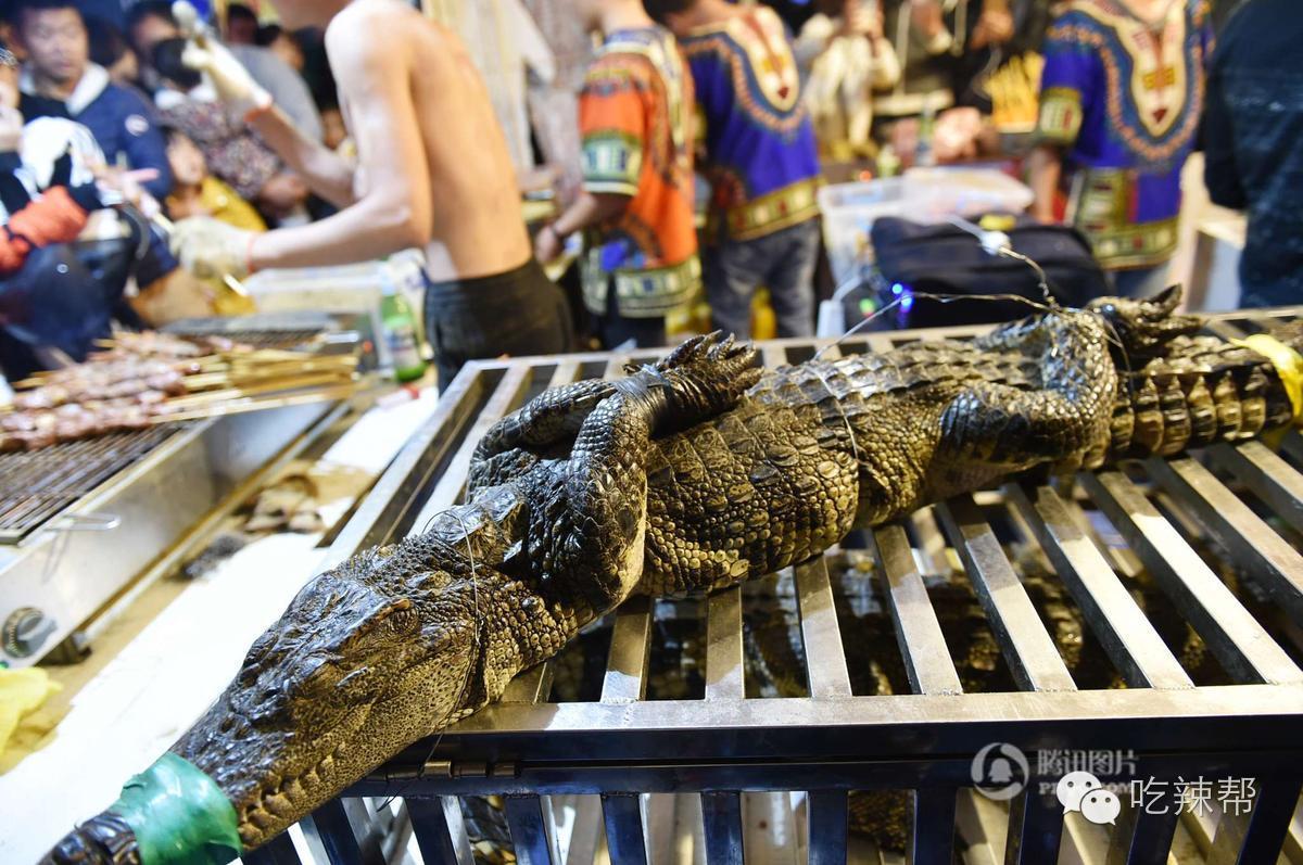 鳄鱼肉的部位不同,串的价格也在20-30元不等,销售万元没有问题.