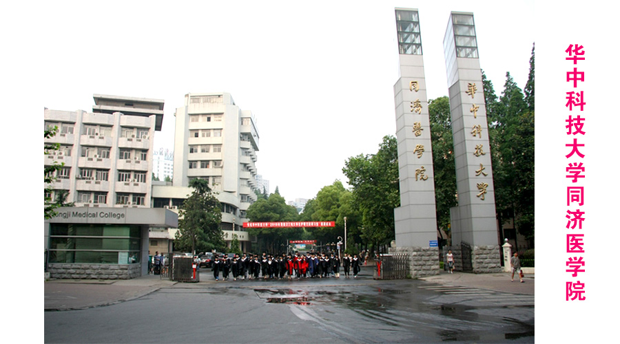 华中科技大学同济医学院