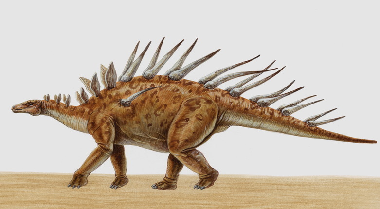 其中极龙高17米,是有史以来最高的动物.蜿龙是腕龙科恐龙的代表.