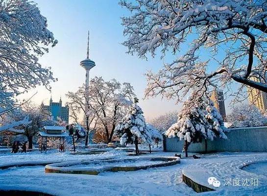 这些图告诉你,沈阳的第一场雪有多美!