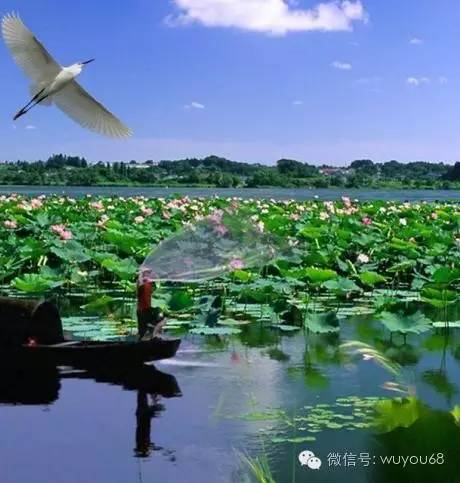 二胡简谱洪湖水浪打浪_洪湖水浪打浪简谱(3)