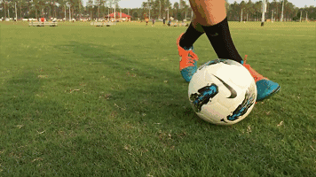 外脚背顺势将滚动的足球停住,同时向右脚外侧拨球,注意力度要适中.