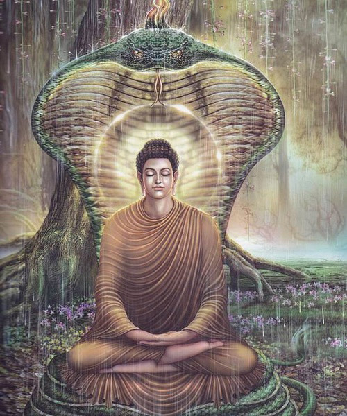 佛陀在树下打坐,天下大雨,感得龙王现身,以自己的身躯为佛陀遮风挡雨.