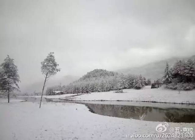 冷冷冷冷冷…重庆居然有这么多地方都下雪了!