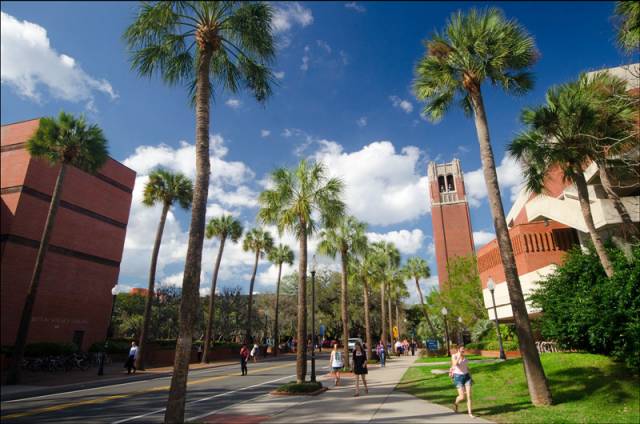 18. 佛罗里达大学 (university of florida)