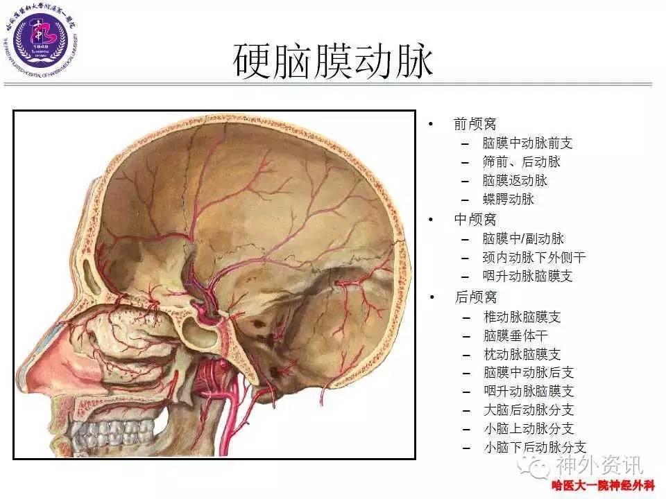 白毛女曲谱带指法