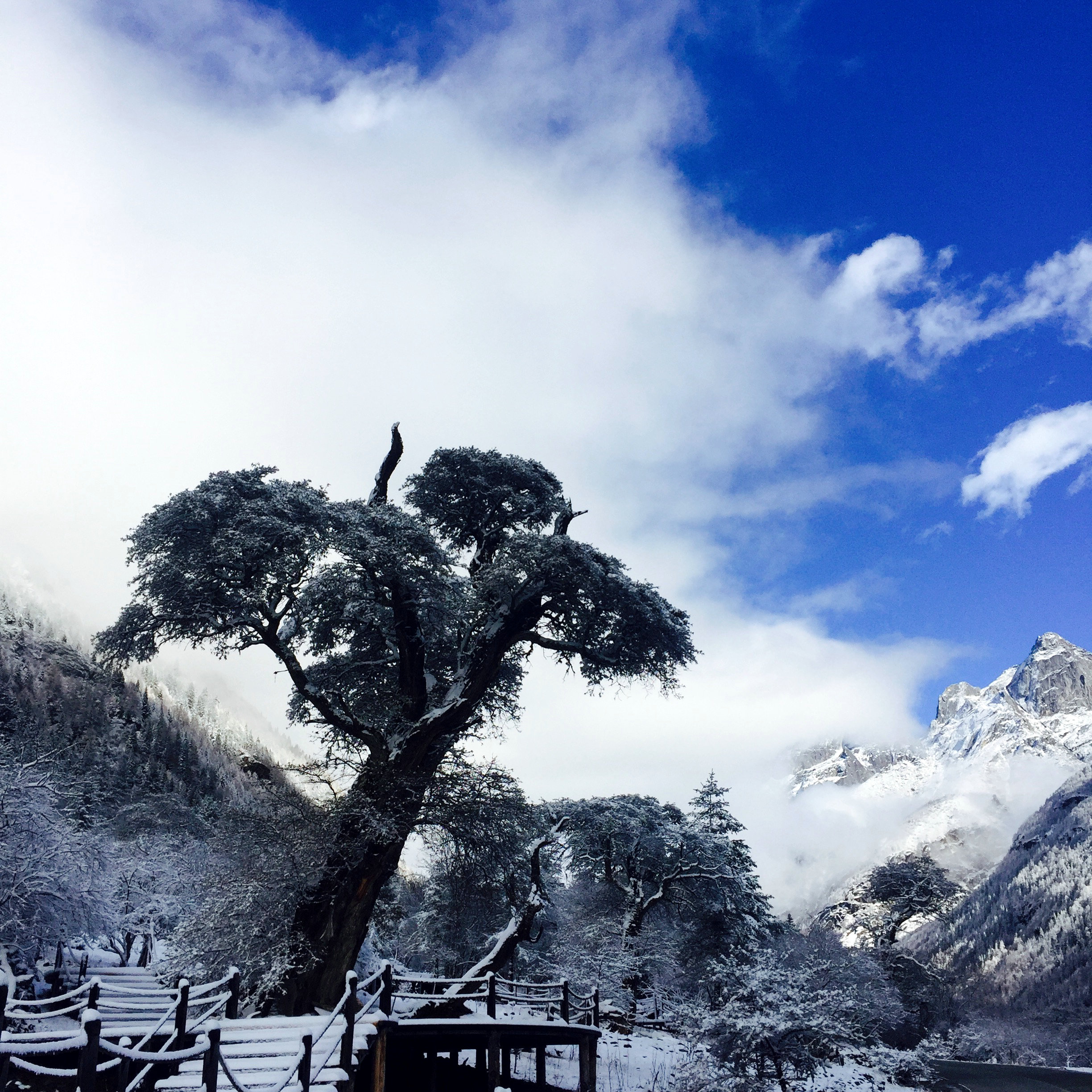 从12月1日起到明年3月份,四姑娘山风景区实行淡季(冬季)票价,双桥沟和