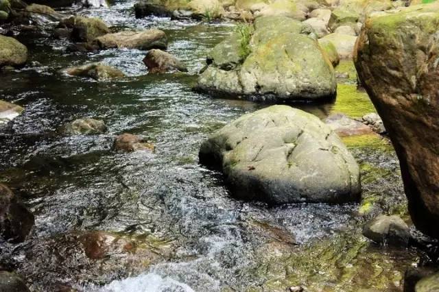 自然的沉迷/摄 地址:南宁市宾阳县黎塘镇黄茶村凤鸣村委相思潭峡谷