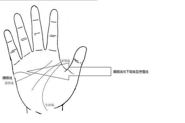 对异性吸引毫无免疫力易出轨的人的手相