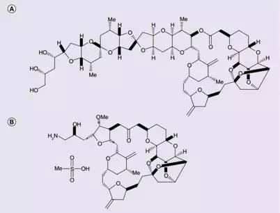 艾立布林(图73)尽管结构依旧复杂,但和软海绵素b(图72)比起来