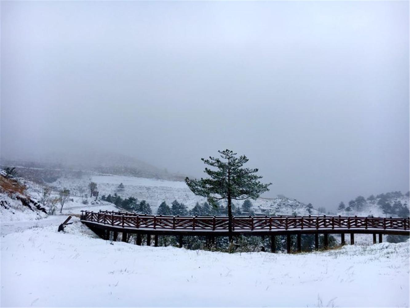 宜昌的第二场雪,跟着二师兄去百里荒吃烤黑猪吧!