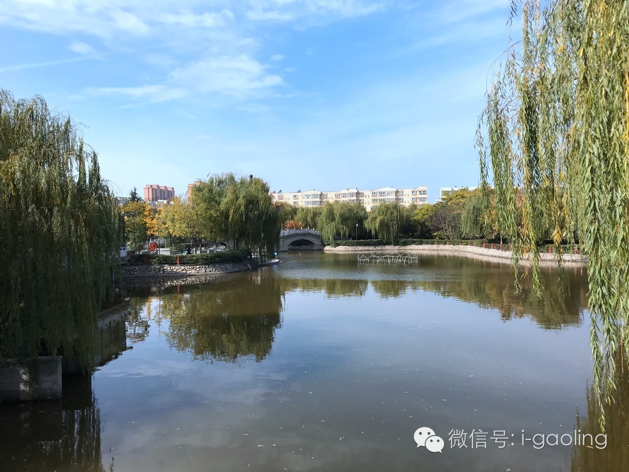 初冬高陵 水景公园