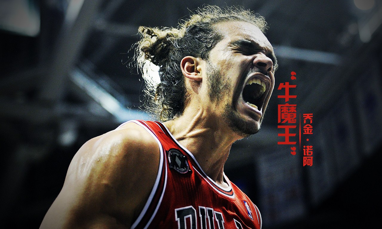 joakim noah(乔金·诺阿)(法国)今天,煮酒论英雄,我们看看前十位欧洲