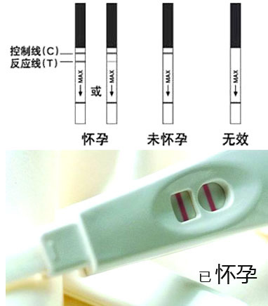 深圳国安医院温馨提示:怀孕多久可以测出来?