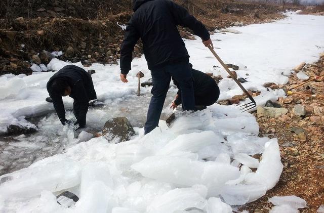 冰天雪地东北人捞鱼抓蛤蟆冻得不亦乐乎