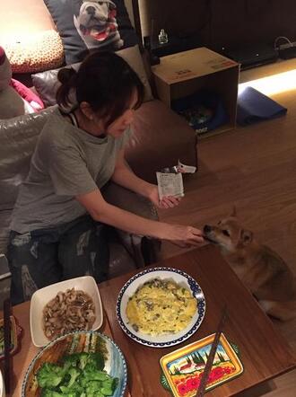Ella怀孕三个月做晚餐,爱犬旁边守护!