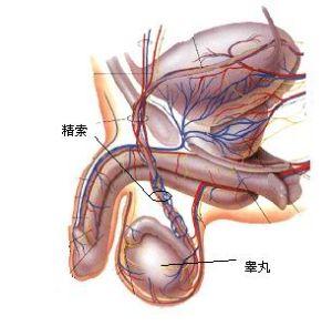 阴囊皮肤受伤