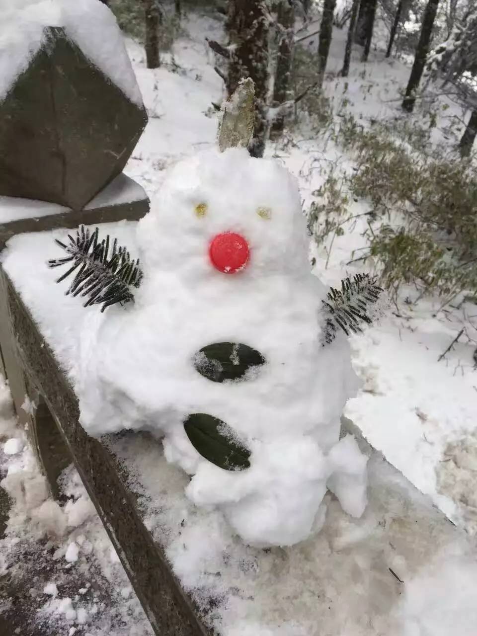 四川这些景区提前下雪了,雪景实拍,直接刷屏!