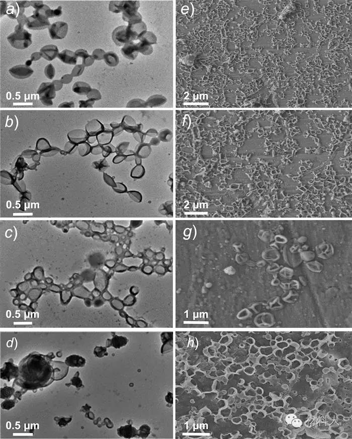 macromolecules人造细胞纳米囊泡及药物释放的应用研究