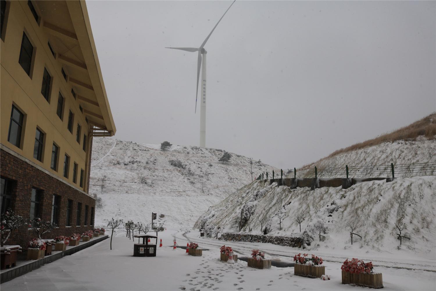 宜昌的第二场雪,跟着二师兄去百里荒吃烤黑猪吧!