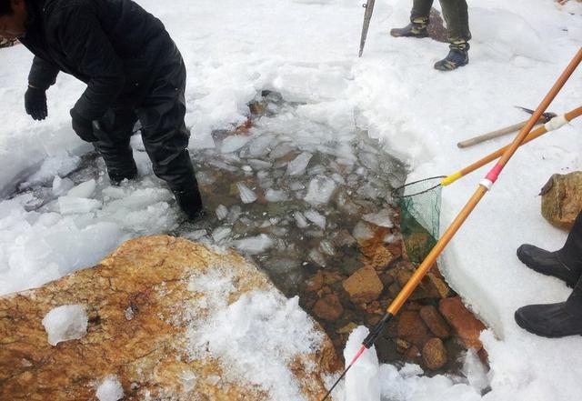 冰天雪地东北人捞鱼抓蛤蟆冻得不亦乐乎