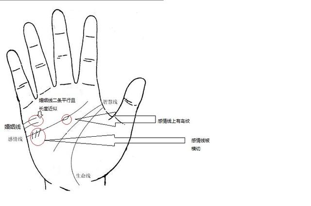 1 感情线上有杂纹短纹对感情线进行横切   2 感情线上有岛纹