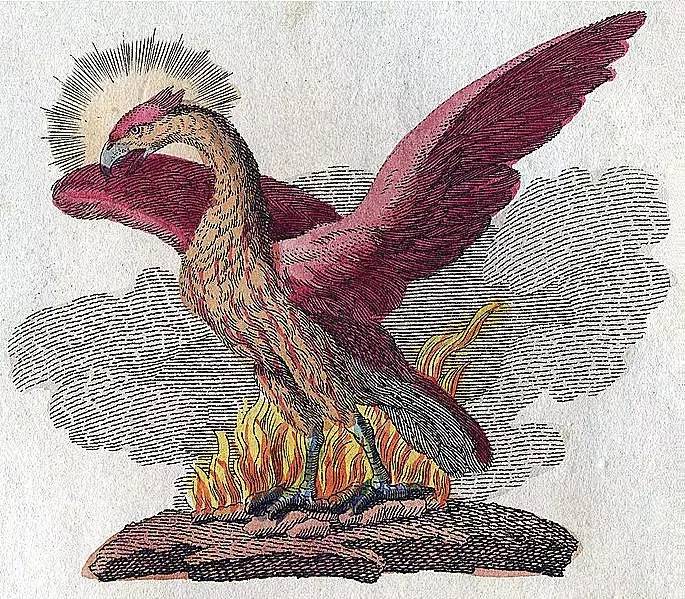 古埃及太阳鸟 而到希腊神话中,凤凰是一种长生的不死鸟.