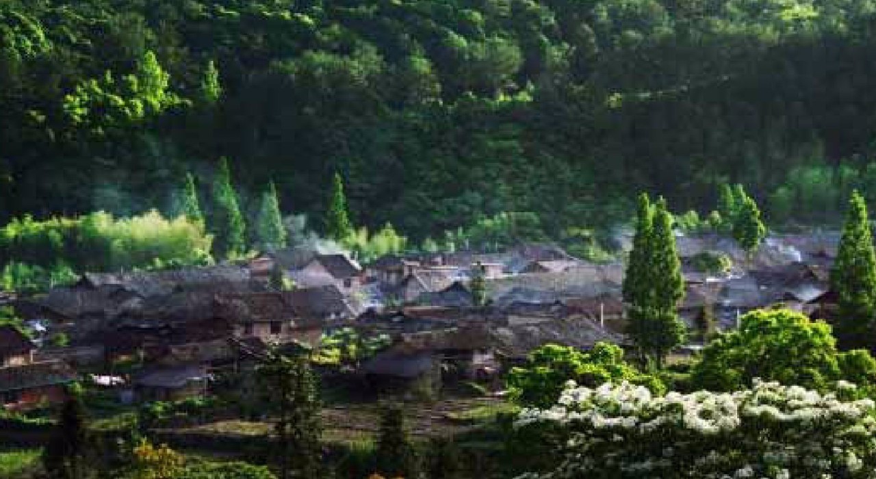 泰顺县罗阳镇仙居村