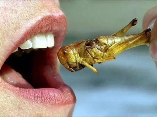 陕西: 员工未完成业绩被罚吃虫子 此前有人吃过蚂蚁
