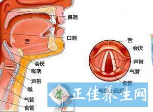 嗓音变粗怎么办