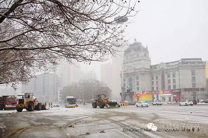 哈尔滨下雪了,家门口遛弯赏雪随拍