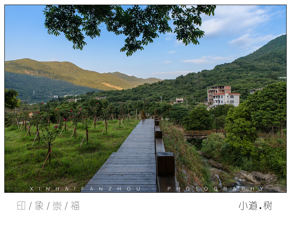 晨曦里拾起一湾静谧,莆田魅力乡村--萩芦崇福村