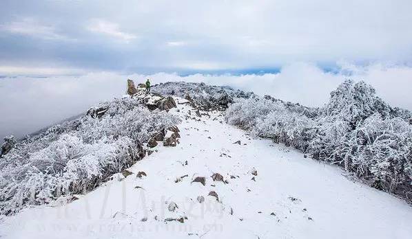 全国雪景大比拼,虽说冻成狗却也让你美上天!