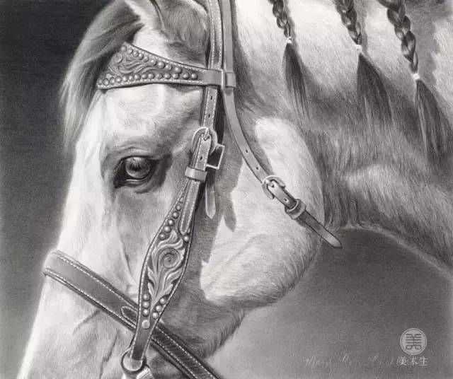 她用铅笔画了一匹马,折服了千万粉丝.