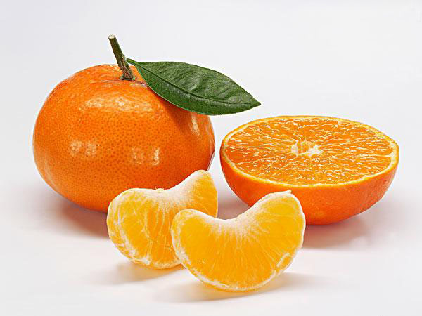 城固柑橘