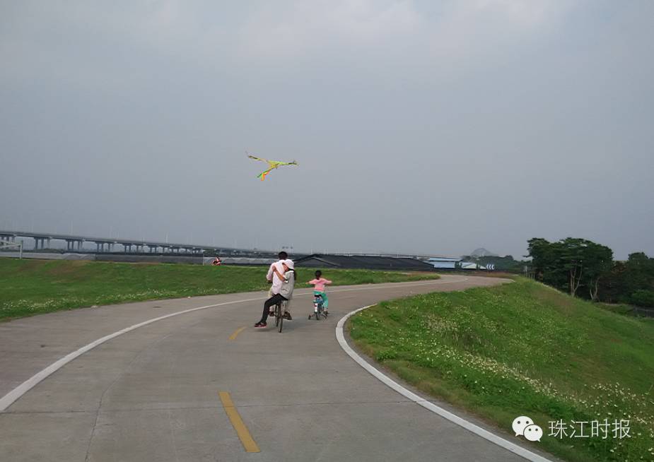 平整的水泥路 几乎没有机动车 超级适合骑行 从五斗大桥进河堤