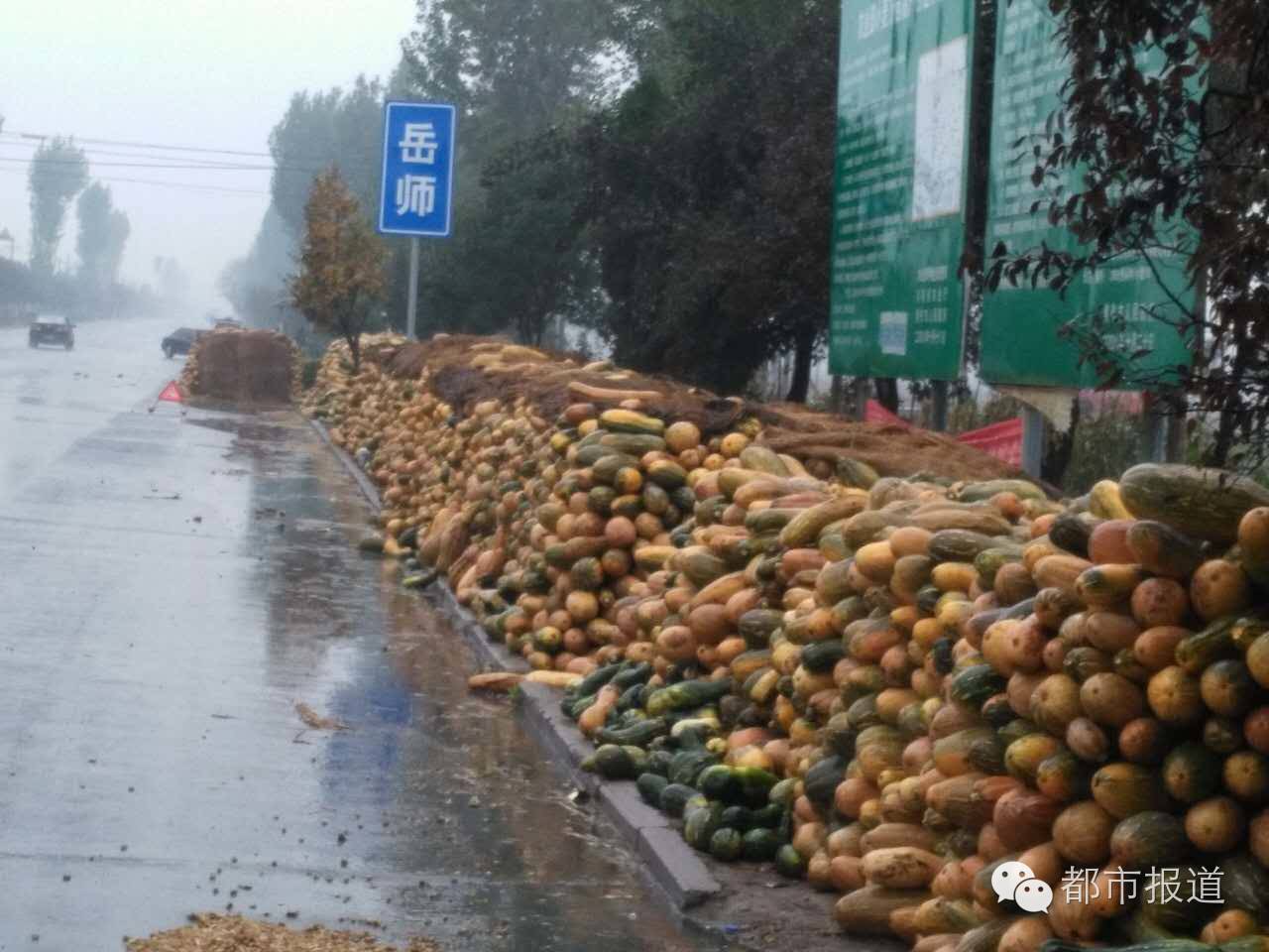 孟州市缑村人口_孟州市南那村图片